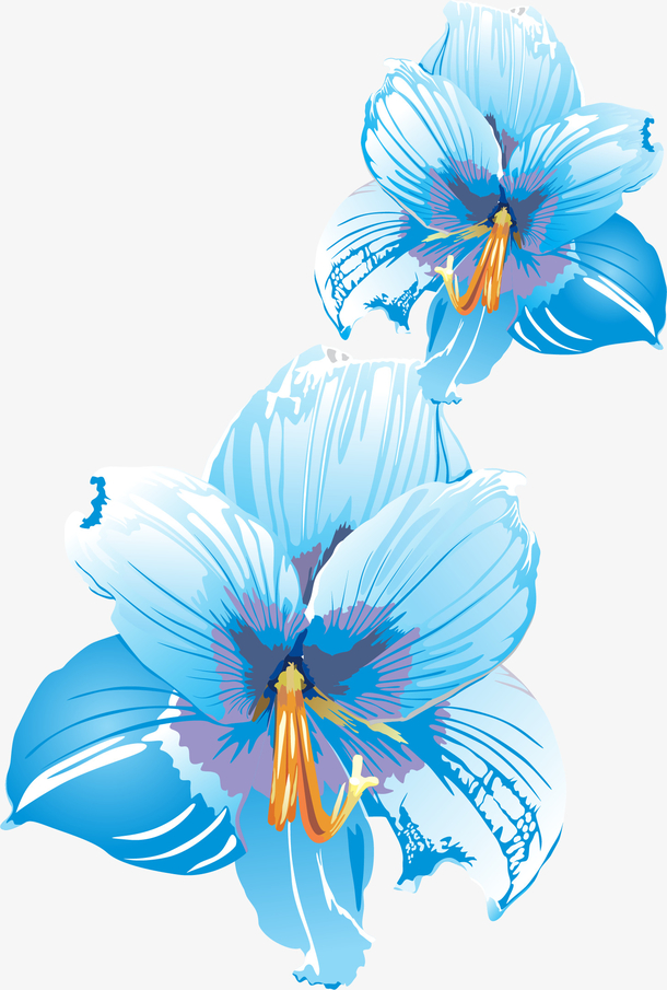 蓝色花朵植物花朵手绘花朵