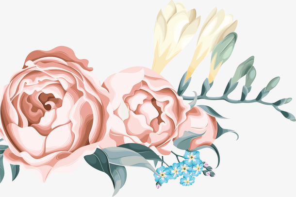 卡通牡丹花矢量图