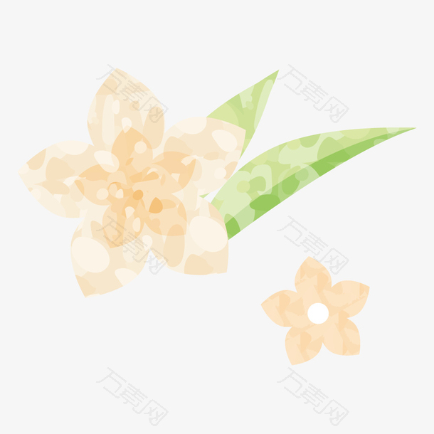 水彩手绘植物叶子黄色花朵图片