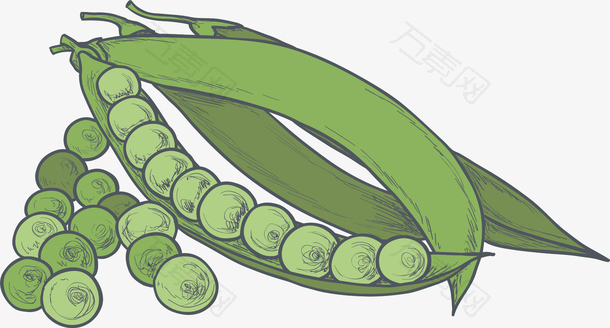 秋季手绘蔬菜青豆