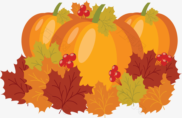 丰收季立秋的南瓜