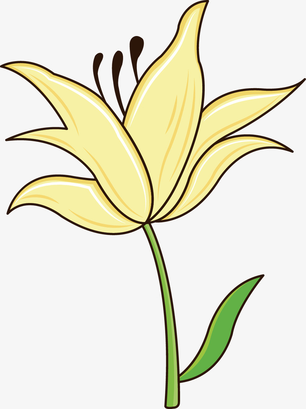 黄色手绘百合花苞