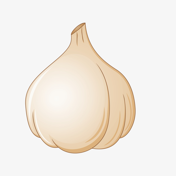 卡通手绘大蒜png