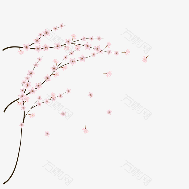 矢量清新粉色腊梅花枝