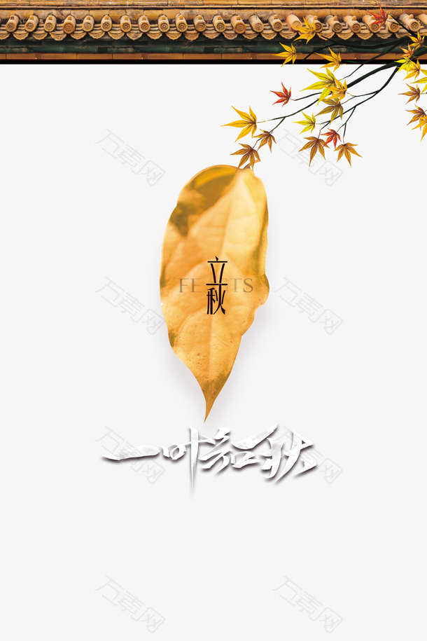 秋天立秋一叶不知秋树枝树叶屋檐