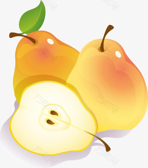 香梨矢量图