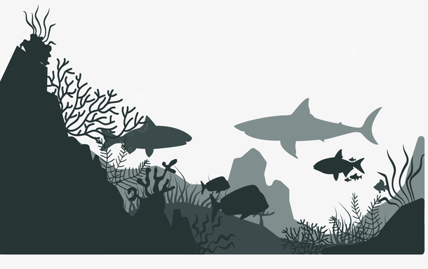 海底世界图片免费下载 海底世界素材 万素网