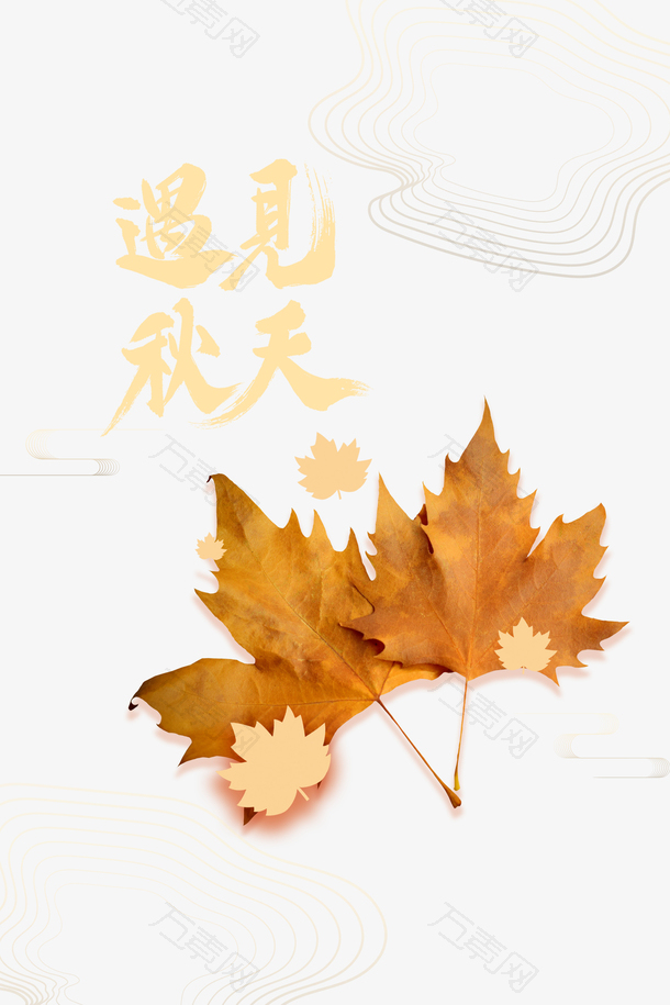 秋天秋季遇见秋天落叶枫叶