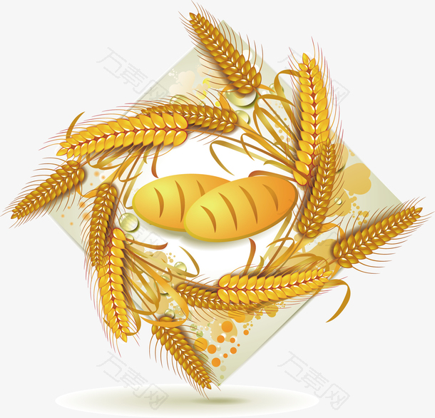 秋天麦穗金黄色丰收