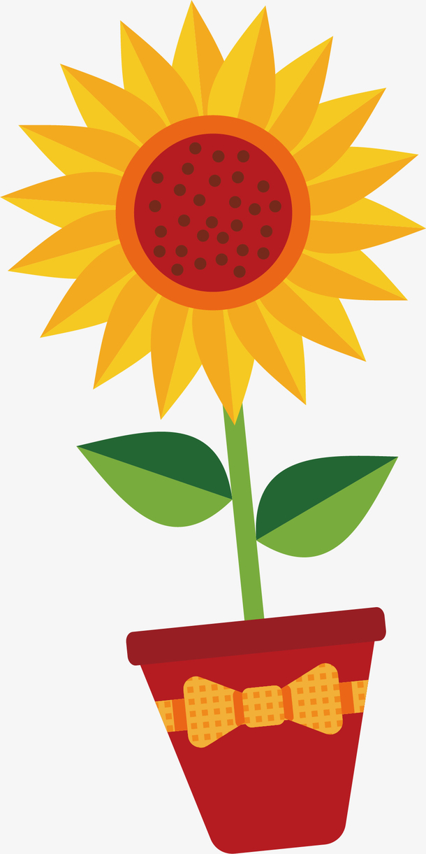 卡通向日葵