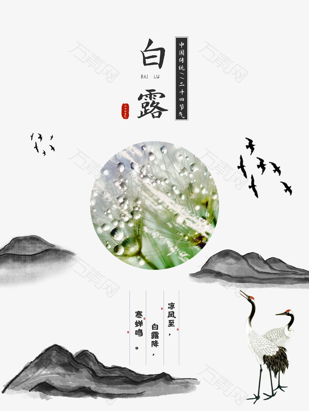 白露秋天水墨画丹顶鹤山