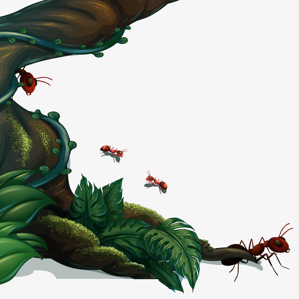 蚂蚁扛大树图片卡通图片