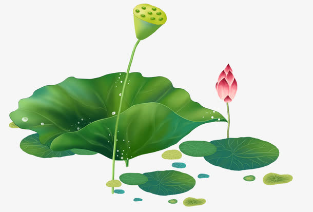 卡通水彩绿色荷叶荷花