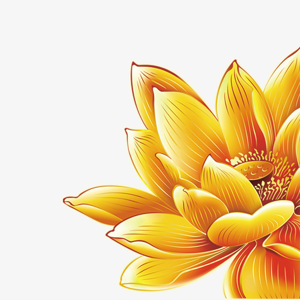 莲花花纹背景png元素素材图片下载-万素网