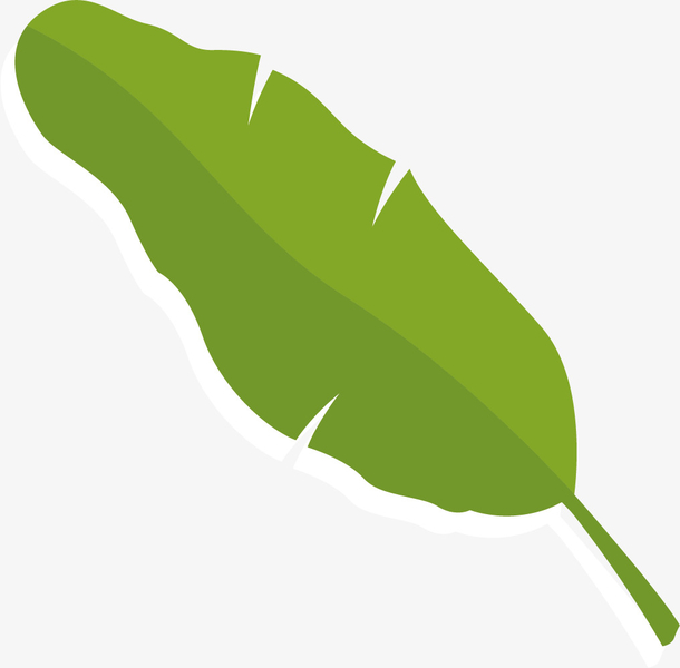 绿色纯色矢量卡通芭蕉叶