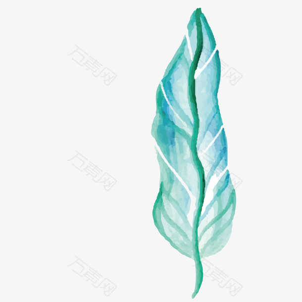 海底的一枚枚树叶