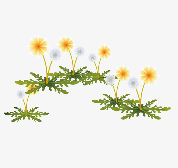 蒲公英种子漂浮素材