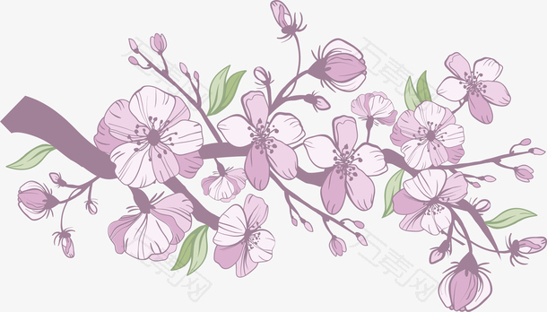 粉红色浪漫樱花