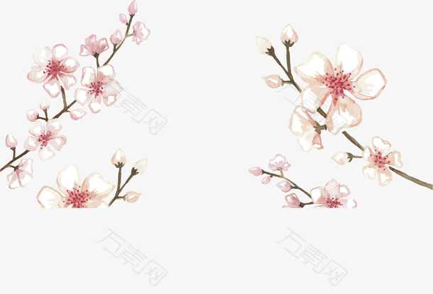 手绘风美丽樱花树枝