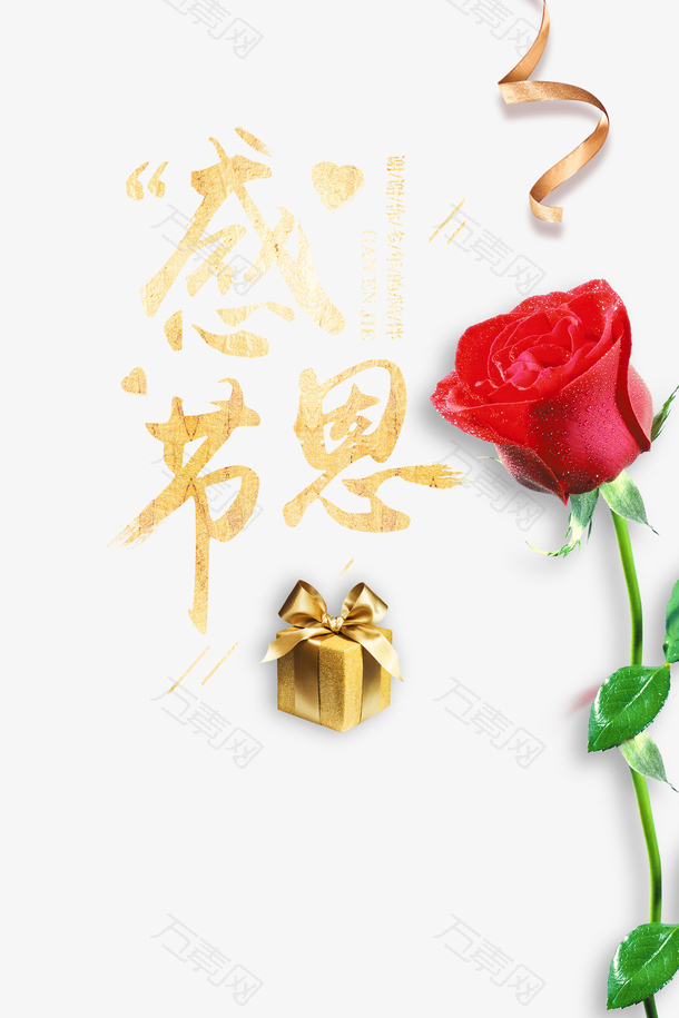 感恩节礼盒玫瑰花丝带