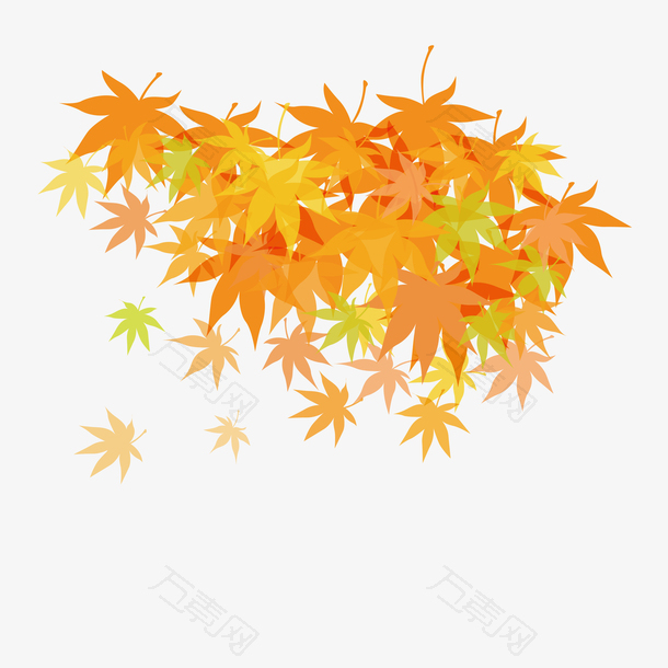 秋天枫叶矢量免扣图