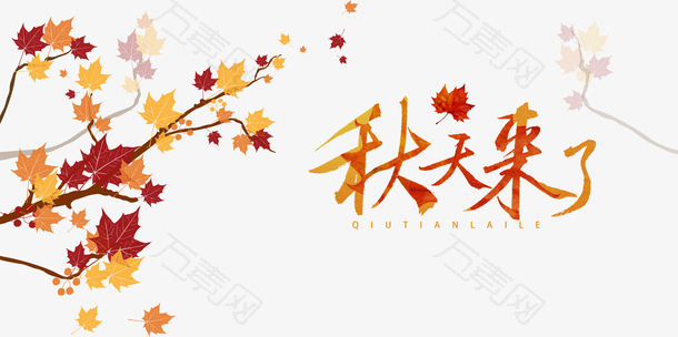 秋季秋天秋天来了树枝枫叶