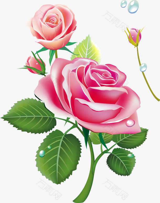 二次元玫瑰花素材图片