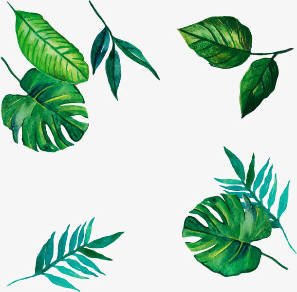 矢量手绘ins绿色植物