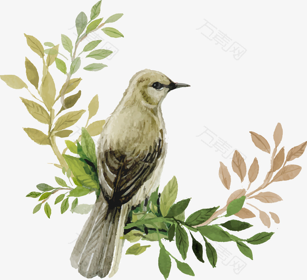 矢量手绘插画在树叶的小鸟