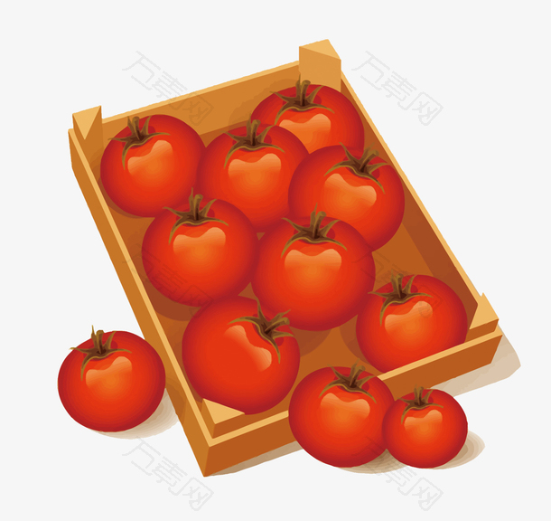 矢量西红柿