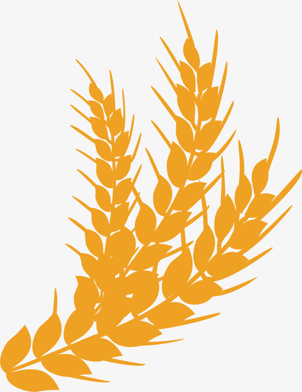 黄色的手绘丰满谷穗