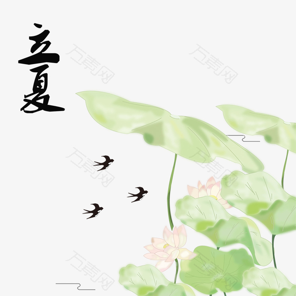 立夏节气唯美荷塘燕子素材