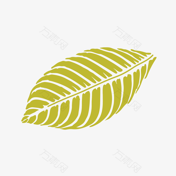 涂鸦手绘的叶子免抠素材