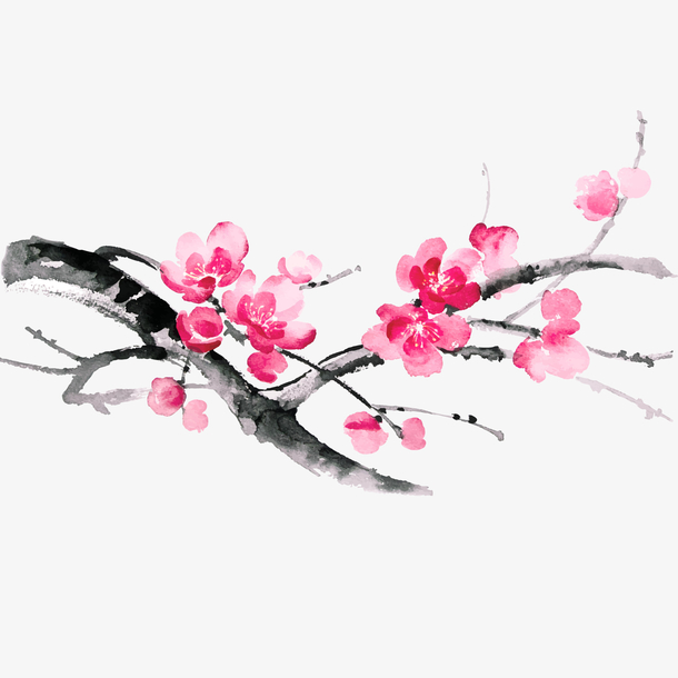 樱花水墨画 简单图片