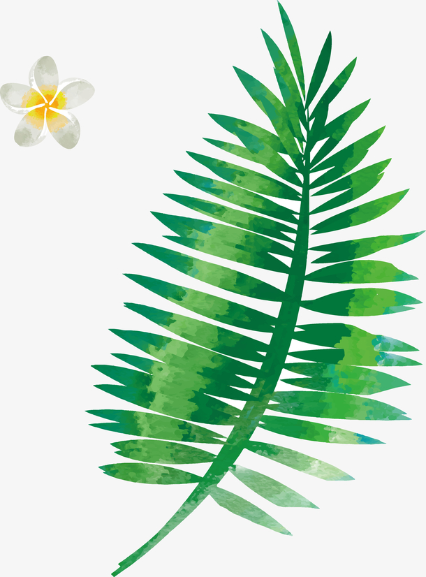 手绘水彩植物棕榈叶矢量素材