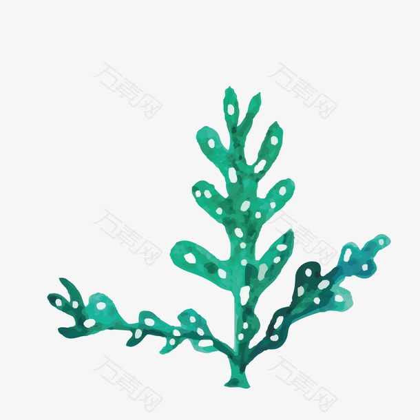 深海散发状的蓝珊瑚