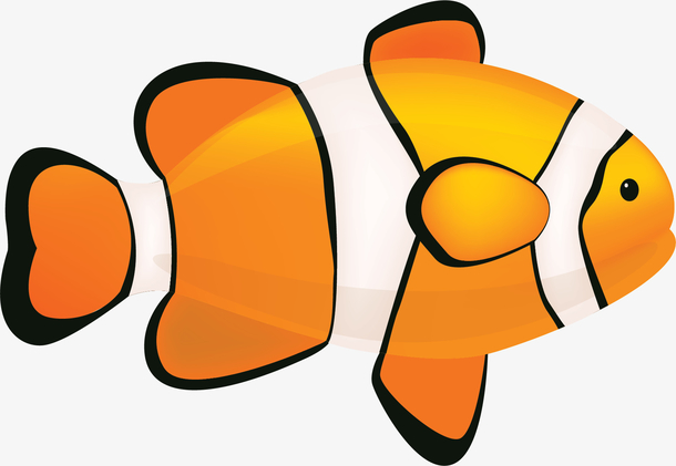 橘色花纹卡通小丑鱼