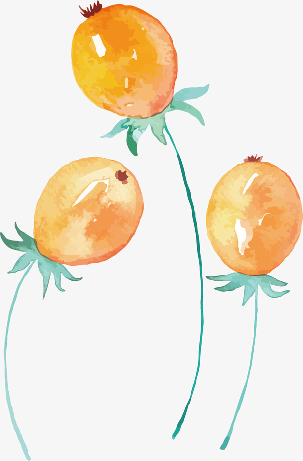 插画植物 素材 免费插画植物图片素材 插画植物素材大全 万素网