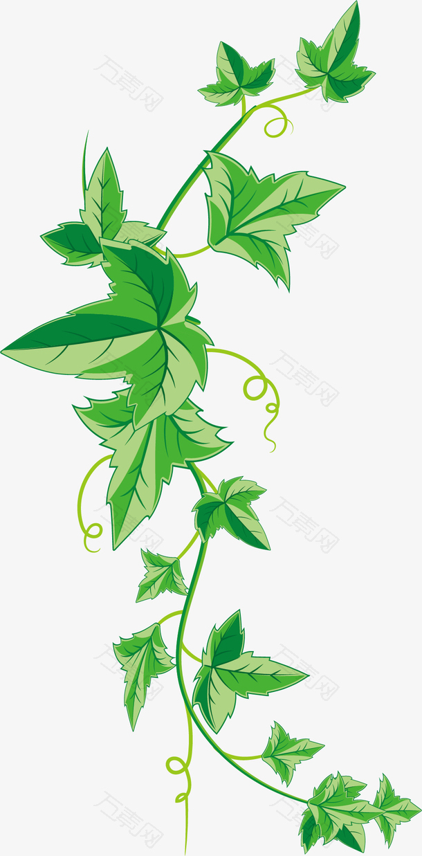 绿叶手绘风格矢量藤蔓