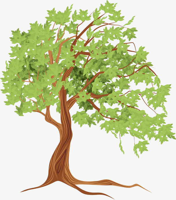 手绘夏天大树png