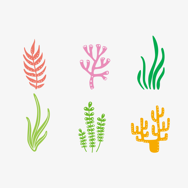 矢量简约彩色海洋珊瑚藻