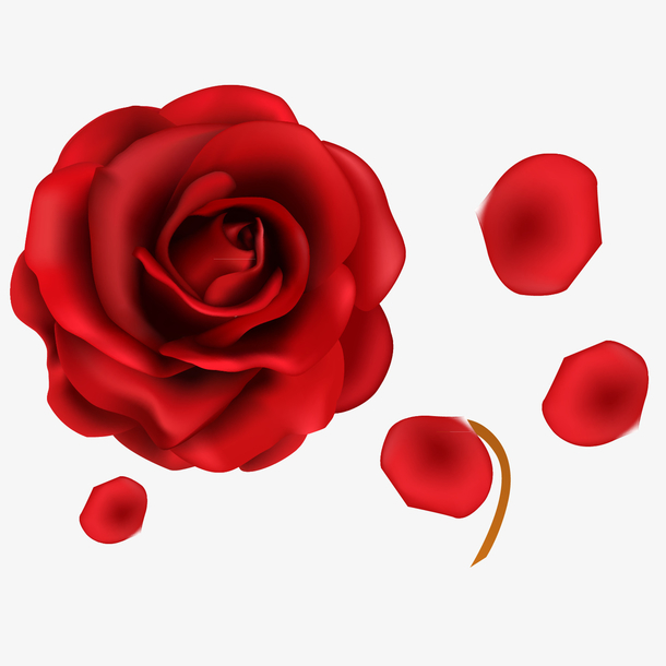 红色玫瑰花图片-红色玫瑰花设计素材-红色玫瑰花素材免费下载-万素网