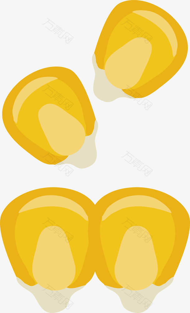 金黄玉米粒
