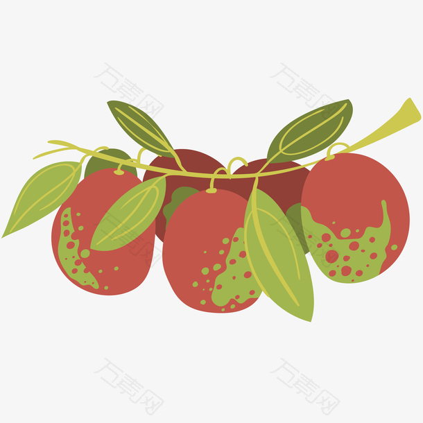 新鲜枣子矢量插画