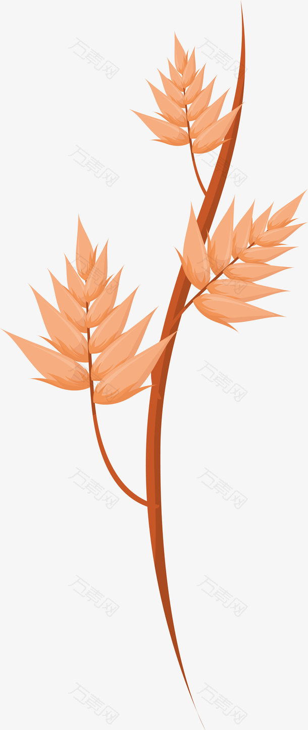 卡通立秋金色植物树叶插画
