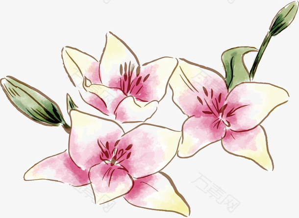 手绘春天鲜花