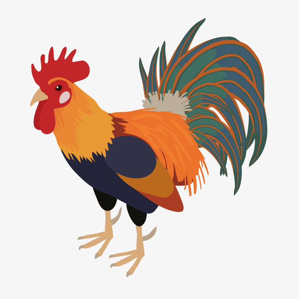 花纹设计大公鸡图案