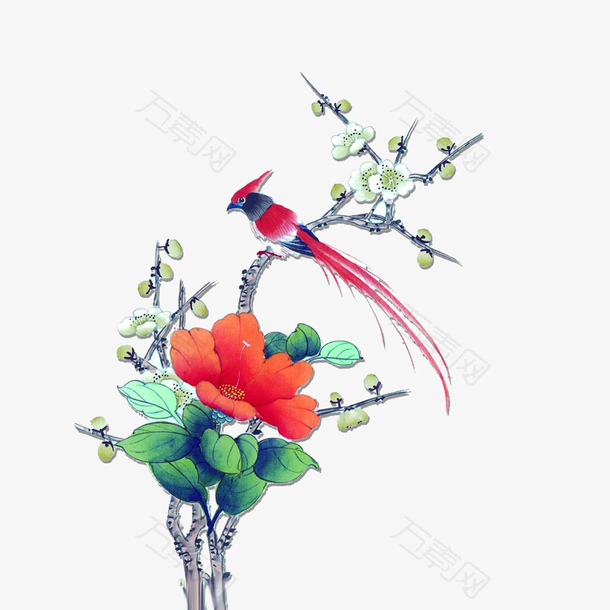 鲜花素材