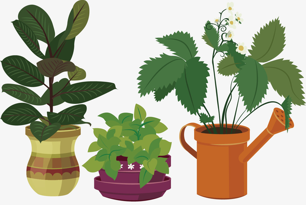 手绘植物图片 手绘植物素材下载 万素网