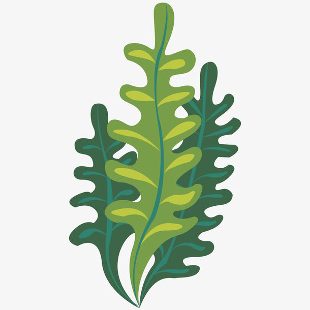 植物水彩 素材 免费植物水彩图片素材 植物水彩素材大全 万素网